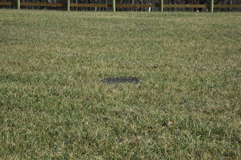 Level grassy area used as a drain field